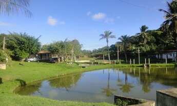 Imagem: VENDO SITIO NA CASCALHEIRA COM 60.000,00m²