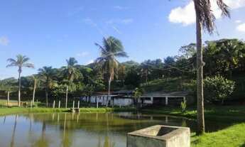 Imagem 2: VENDO SITIO NA CASCALHEIRA COM 60.000,00m², POSSUI UMA CASA GRANDE, R$ 750.000,00 FINANCIA