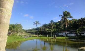 Imagem 3: VENDO SITIO NA CASCALHEIRA COM 60.000,00m², POSSUI UMA CASA GRANDE, R$ 750.000,00 FINANCIA