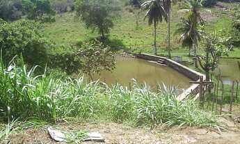 Imagem 4: VENDO SITIO NA CASCALHEIRA COM 60.000,00m², POSSUI UMA CASA GRANDE, R$ 750.000,00 FINANCIA