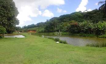 Imagem 5: VENDO SITIO NA CASCALHEIRA COM 60.000,00m², POSSUI UMA CASA GRANDE, R$ 750.000,00 FINANCIA