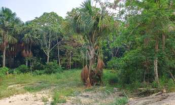 Imagem 5: Terreno a venda no bairro Novo Aleixo, Manaus