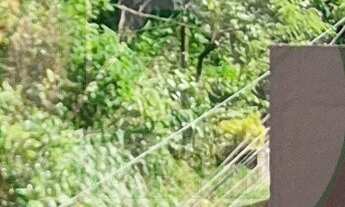 Imagem 6: Casa com 4 quartos a venda no bairro Lírio do Vale, Manaus-AM