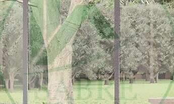 Imagem 4: Terreno a venda no Condomínio Quintas de São José do Rio Negro, Manaus