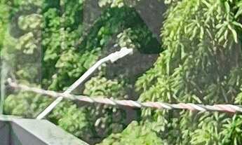 Imagem 7: Casa com 4 quartos a venda no bairro Lírio do Vale, Manaus-AM