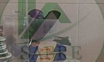 Imagem 7: Apartamento a venda, Condomínio Ariranhas, bairro Flores, Manaus