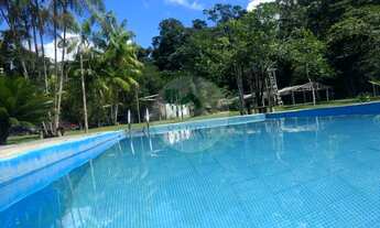 Imagem: Sítio à Venda em Presidente Figueiredo-AM