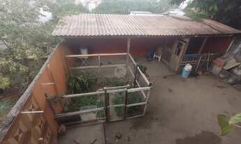 Imagem 6: Casa 3 quartos a venda no bairro Colônia Terra Nova Manaus