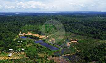 Imagem: Área a venda na Estrada do Janauari, Iranduba