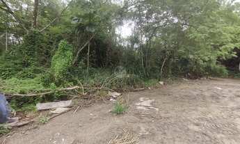 Imagem 7: Terreno a venda no bairro Aleixo Manaus