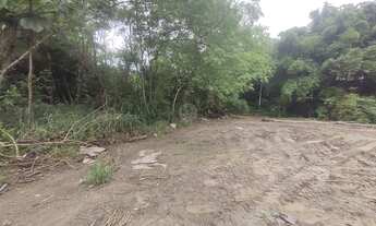 Imagem 5: Terreno a venda no bairro Aleixo Manaus