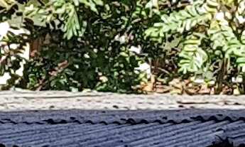 Imagem 2: Terreno a venda com área 754,80 m², Bairro Petrópolis, Manaus / AM