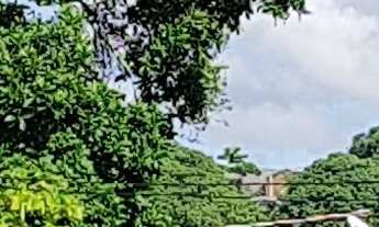 Imagem 3: Terreno a venda com área 754,80 m², Bairro Petrópolis, Manaus / AM