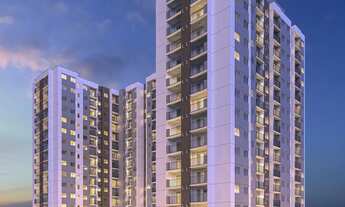 Imagem: Vibra Nações Unidas