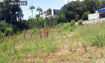 Imagem 3: Terreno a venda ou locação em parelheiros zona sul de são paulo