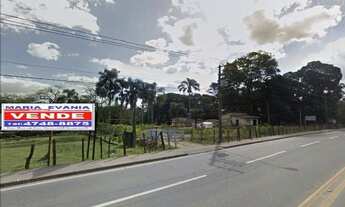 Imagem 4: ÁREA INDUSTRIAL COMERCIAL em Suzano - SP, Palmeira