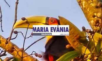 Imagem 2: CHACARA INDUSTRIAL em SUZANO - SP, CHÁCARAS REUNIDAS GUAIO