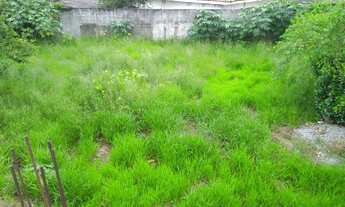 Imagem 6: TERRENO COMERCIAL em SUZANO - SP, PARQUE SUZANO