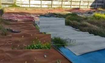 Imagem 5: TERRENO RESIDENCIAL em SUZANO - SP, VILA URUPÊS