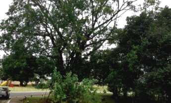 Imagem 7: Casa a Venda Jardim dos Lagos Indaiatuba SP