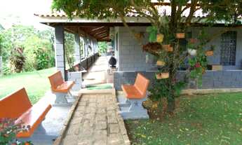 Imagem 7: Sitio a venda Elias Fausto SP