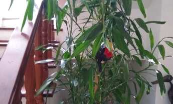 Imagem 6: Chácara a venda Vale das Laranjeiras Indaiatuba SP