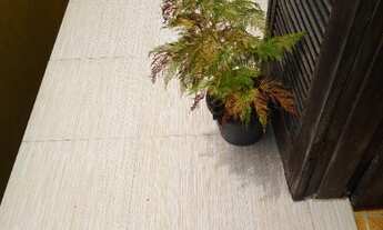 Imagem 6: SOBREPOSTA ALTA COM 02 DORMITÓRIOS A VENDA NO BAIRRO DO SANTA ROSA - REF.: 4752