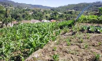 Imagem 7: Leilão terreno urbano em Salete - SC