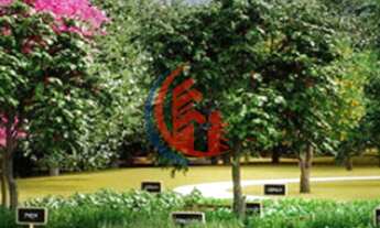 Imagem 6: Smart City Indaiá um novo padrão de vida em Indaiatuba/SP conectado com a Natureza e Tecno