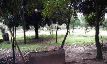 Imagem 6: 15,5 hectares de campo em ótima localização na Barragem Sanchuri