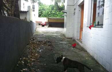 Imagem 3: Excelente Terreno 800m2 na Garibaldi