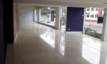 Imagem 7: Maravilhosa Loja na Alameda da Espatódeas - Caminho das Árvores