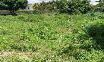 Imagem 5: Terreno com 1.900,00 m2 em Abrantes Ideal para Village
