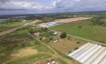Imagem 5: Sitio com 15.000 m2 de área em Conceição do Jacuípe