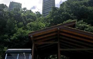 Imagem 4: Margarida Costa Pinto 4 Suítes 415m2