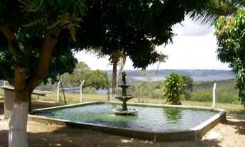 Imagem 7: Fazenda com 1.100 tarefas em Jiquiriçá - Bahia