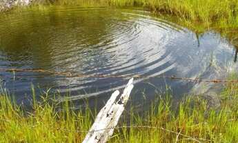 Imagem: Fazenda com 377 Tarefas em Morro do Chapéu