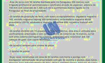 Imagem 2: Fazenda com 50 tarefas em Rafael Jambeiro - Ba