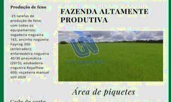 Imagem 3: Fazenda com 50 tarefas em Rafael Jambeiro - Ba