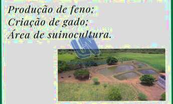 Imagem 4: Fazenda com 50 tarefas em Rafael Jambeiro - Ba