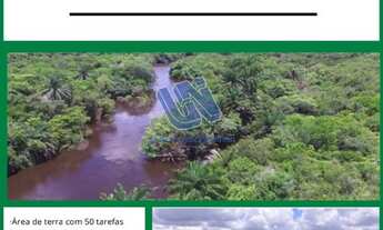 Imagem 1: Fazenda com 50 tarefas em Rafael Jambeiro - Ba