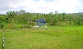 Imagem 4: Fazenda com 109 Tarefas em Alagoinhas - Bahia