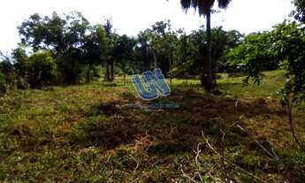 Imagem 6: Fazenda com 24,7 tarefas em São Sebastião do Passé - Bahia