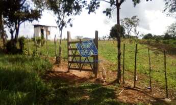 Imagem 3: Fazenda com 24,7 tarefas em São Sebastião do Passé - Bahia