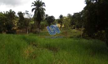 Imagem 4: Fazenda com 24,7 tarefas em São Sebastião do Passé - Bahia