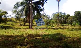Imagem 7: Fazenda com 24,7 tarefas em São Sebastião do Passé - Bahia