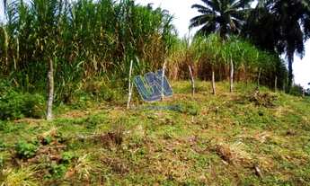 Imagem 5: Fazenda com 24,7 tarefas em São Sebastião do Passé - Bahia