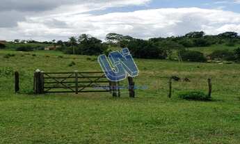 Imagem 7: Fazenda com 190 Tarefas em Pedrão-BA