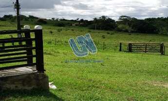 Imagem 6: Fazenda com 190 Tarefas em Pedrão-BA