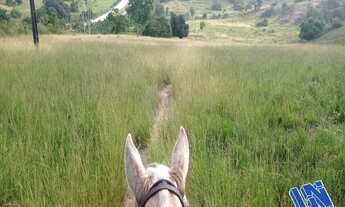 Imagem 3: Fazenda com 120 Tarefas em Teodoro Sampaio - Bahia